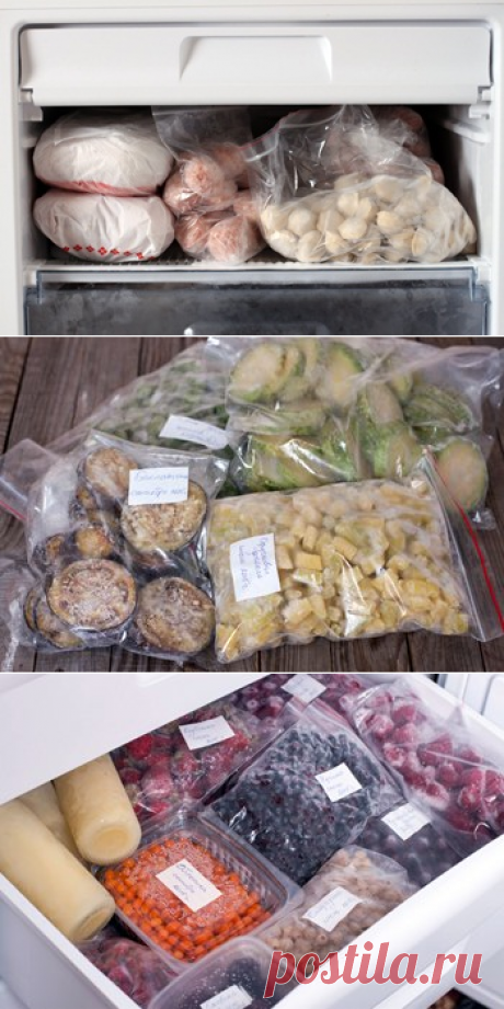 Как правильно хранить продукты в морозилке / Меню недели