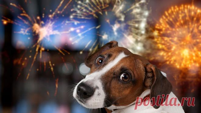 Россиянам напомнили о нюансах режима тишины в новогодние праздники. Не стоит забывать о режиме тишины на Новый год, призвал в комментарии RT заслуженный юрист России Иван Соловьев. Эксперт отметил, что единого закона о тишине в России нет, поэтому в разных регионах установлены разные правила. Причем для ...