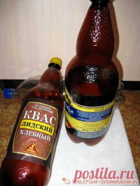 Пальма из пластиковых бутылок