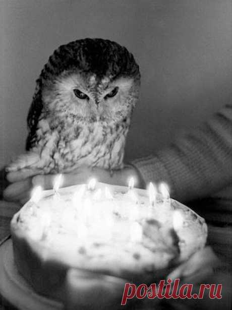 Празднование дня рождения 10.10.2015