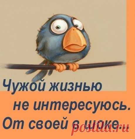 В автобусе женщина-кондуктор подходит к пассажиру - молодому мужчине: - Ваш билет?...