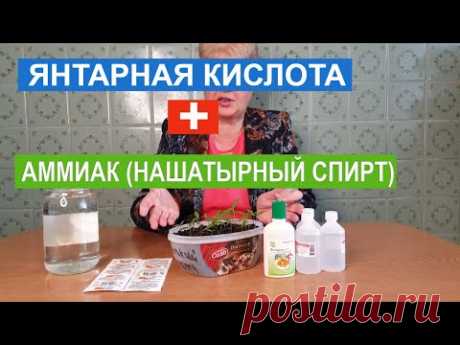 БОМБА ДЛЯ РАССАДЫ. ПОДКОРМИТЕ ЭТИМ ВАШУ РАССАДУ!