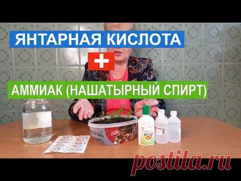 БОМБА ДЛЯ РАССАДЫ. ПОДКОРМИТЕ ЭТИМ ВАШУ РАССАДУ!
