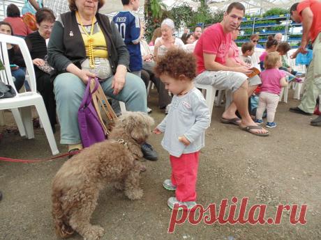 собака Клякса и незнакомка