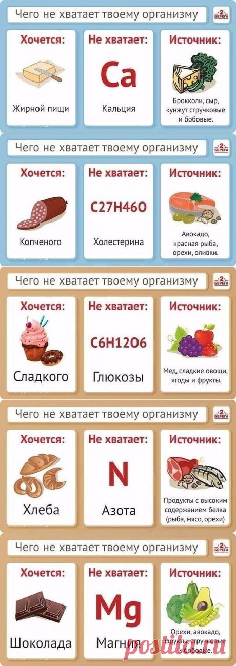 О правильном питании, прислушиваясь к организму