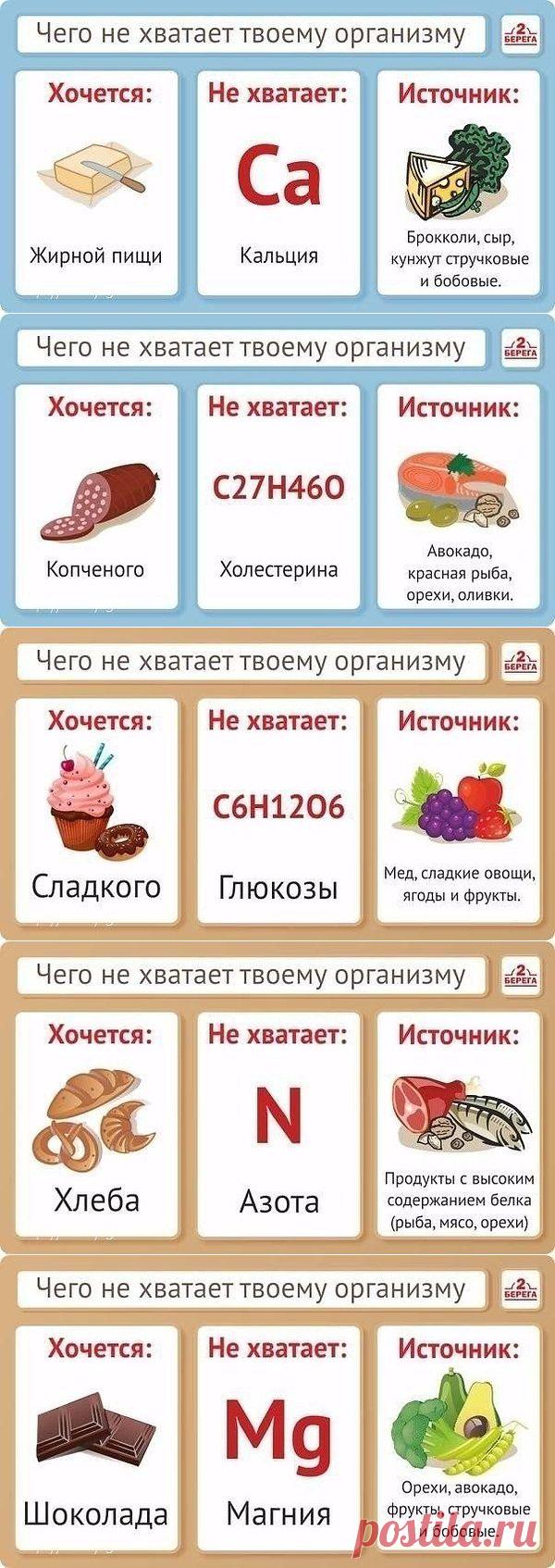 О правильном питании, прислушиваясь к организму