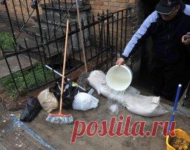 Как навсегда избавиться от сырости в погребе и подвале