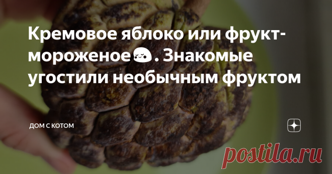 Кремовое яблоко или фрукт-мороженое😳. Знакомые угостили необычным фруктом
