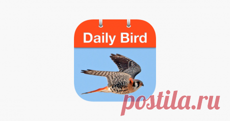 ‎Daily Bird - the beautiful bird a day calendar app ‎Daily Bird is a photo-a-day calendar that features stunning bird photography along with interesting facts and finding tips for that bird. You can also use the app as a clock and have it on display with its gorgeous photography that changes each day.

DAILY UPDATES
Check in every day to learn fascina…