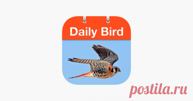 ‎Daily Bird - the beautiful bird a day calendar app ‎Daily Bird is a photo-a-day calendar that features stunning bird photography along with interesting facts and finding tips for that bird. You can also use the app as a clock and have it on display with its gorgeous photography that changes each day.

DAILY UPDATES
Check in every day to learn fascina…