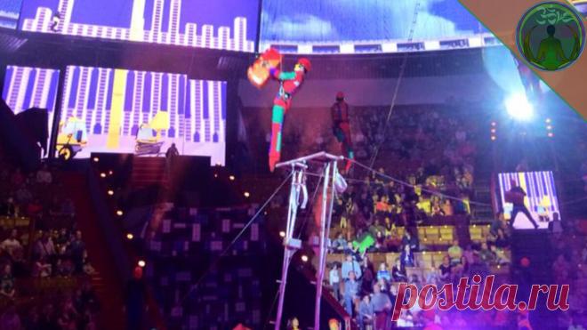 Смелыми не рождаются. Несколько советов, как стать смелее | ЗОЖ путь изнутри вовне | Яндекс Дзен