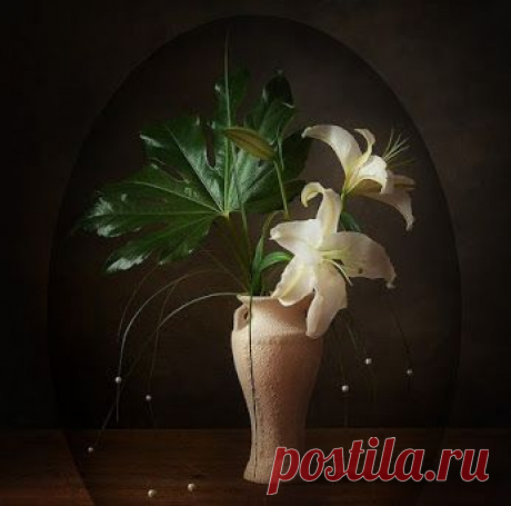 Google+