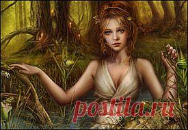 Болотная нимфа.