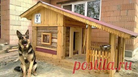 Как он относится ко мне, так и я к нему...