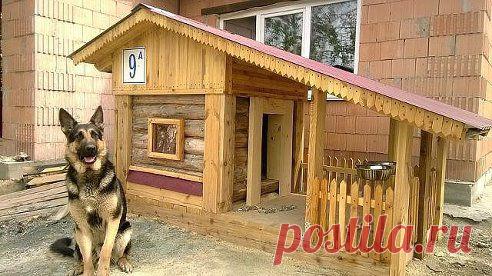 Как он относится ко мне, так и я к нему...