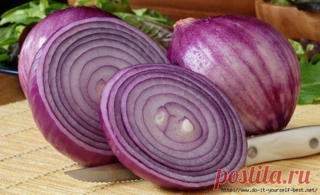 ЭТИ БОЛЕЗНИ ЛУК ЛЕЧИТ ЛУЧШЕ ТАБЛЕТОК! 
Почему мы каждый раз бежим в аптеку, хотя можем просто открыть свой овощной ящик? Хотите верьте, хотите нет, но на протяжении долгих веков люди использовали лук для лечения едва ли не всех типов забо…