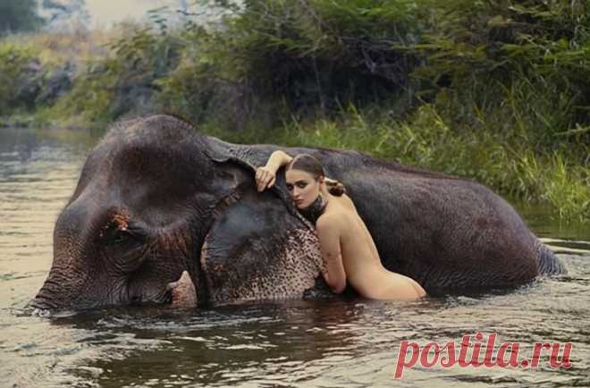534656_ac9e2809e7207f34615a18822169b745_large.jpg (720×473)