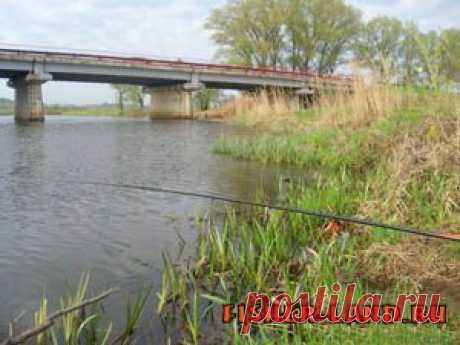Погода и рыбалка | НА РЫБАЛКУ !!!!