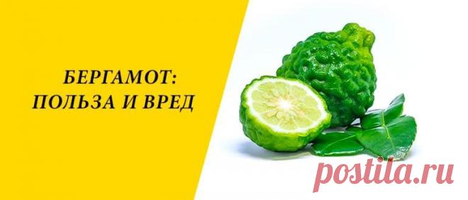 Бергамот: польза и вред для здоровья организма человека Бергамот: история и виды, химический состав, польза и вред, применение в косметологии и кулинарии, рецепты блюд и напитков.