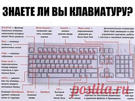 ЗНАЕТЕ ЛИ ВЫ КЛАВИАТУРУ НА СВОЁМ КОМПЬЮТЕРЕ?
F1— вызывает «справку» Windows или окно помощи активной программы. В Microsoft Word комбинация клавиш Shift+F1 показывает форматирование текста;
F2— переименовывает выделенный объект на рабочем столе или в окне проводника;
F3— открывает окно поиска файла или папки на рабочем столе и в проводнике. Комбинация клавиш Shift+F3 часто используется для поиска в обратном направлении;