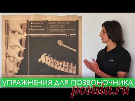 УПРАЖНЕНИЯ ДЛЯ СПИНЫ. Лечение позвоночника и поддержание здоровья. Три упражнения на 10 минут