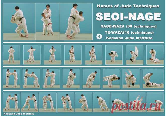 Gumroad - Download.Judo throw seoi-nage.Poster. Format A2 (420 × 594) mm.