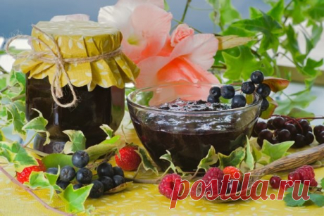 Желе из черноплодки — БЛИНЧИК
