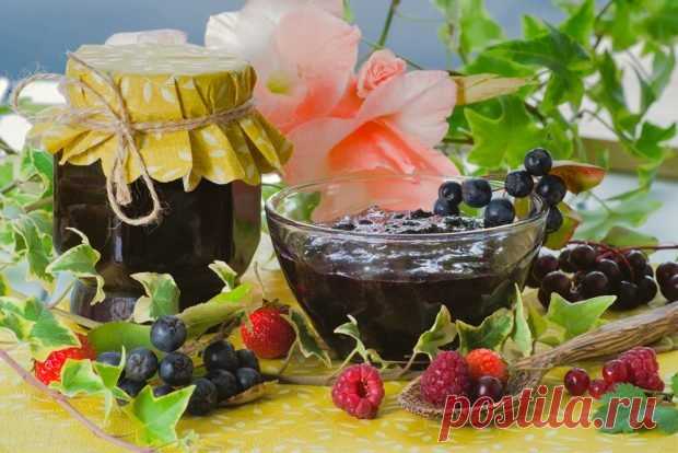 Желе из черноплодки — Домашняя кулинария