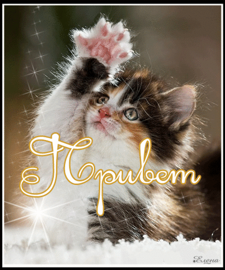 h-9201.jpg (501×600)