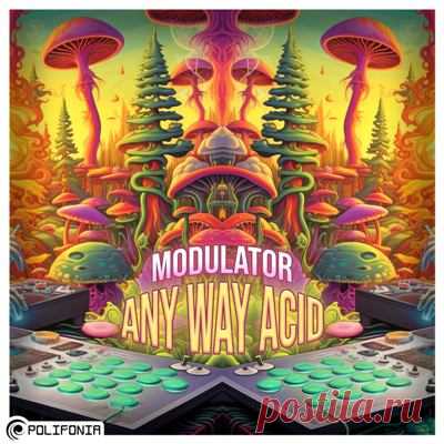 Modulator (BR) – Any Way Acid