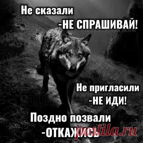 #Волкодав