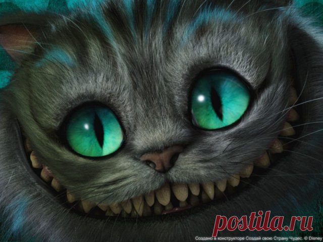 66847306_1290281039_deeca28452a035fb9f1210ad3e355523.jpg (640×480)