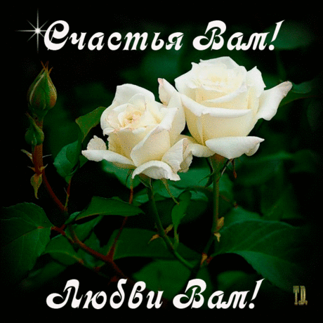 8678248.jpg (650×650)