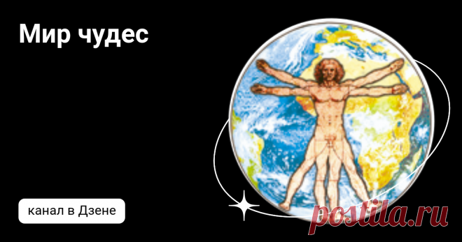 Мир чудес | Дзен