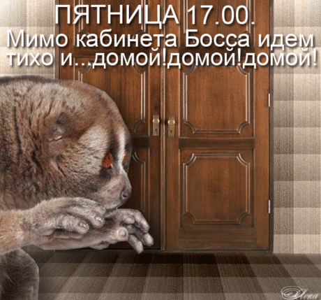 Анекдоты в картинках - хорошего вам настроения! » Женский Мир