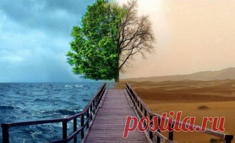 #интернет_бизнес #философия_жизни #«В_чём_же_разница?»
Однажды два предпринимателя, владевших маленькими фирмами, собрались в другой город на подписание договоров, которые позволили бы им увеличить производительность и, соответственно, доходы. По пути в аэропорт они попали в аварию и опоздали на самолёт, тем самым сорвав заключение контракта. Надо сказать, что самолёт, на котором они должны были лететь, потерпел крушение, и все пассажиры погибли.
Некоторое время ...
https://vk.com/dochodonlin