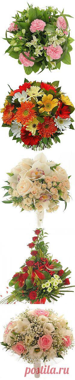 Фото цветов, букеты цветов