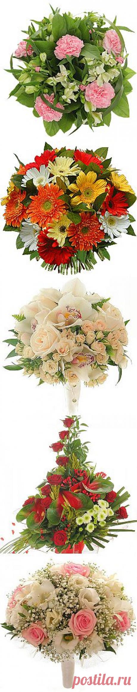 Фото цветов, букеты цветов
