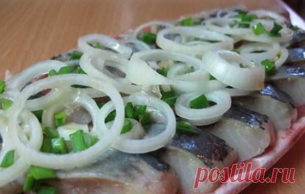 Сельдь домашнего посола | Вкуснолог...