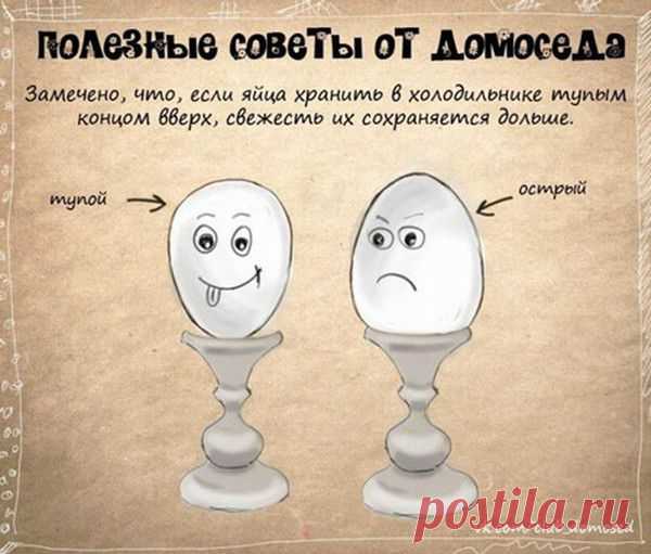 Фотографии zoja simonova - 6136 фото в Моем Мире.