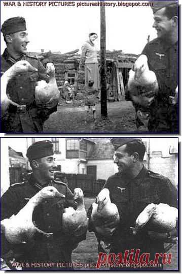 ФОТОГРАФИИ ИЗ ИСТОРИИ: Редкие образы войны, истории, WW2, нацистской Германии: Поддельные фотографии немецких Жестокости В России