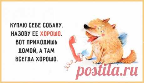 25.07...лето +22..влажность 78%...тропики?