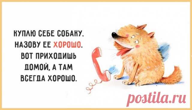 25.07...лето +22..влажность 78%...тропики?