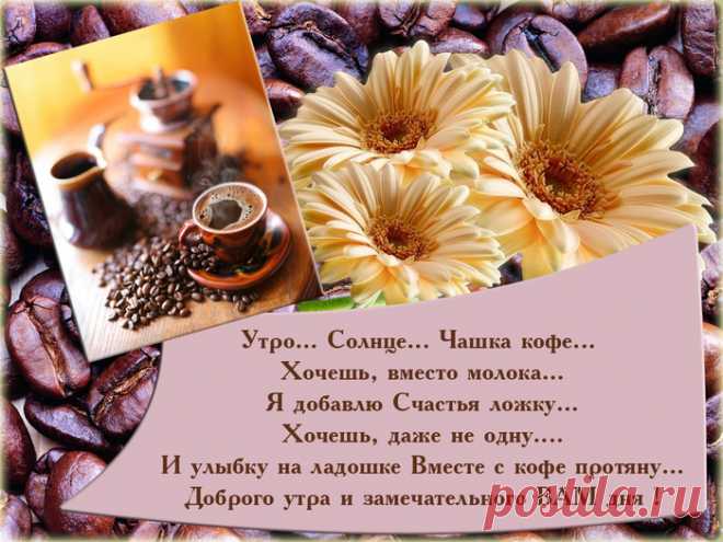 (23) Мой Мир@Mail.Ru