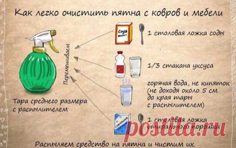 Дневник идеальной хозяйки|Рецепты|Здоровье