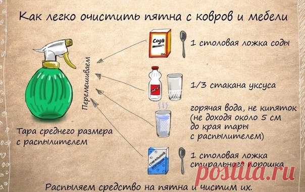 Дневник идеальной хозяйки|Рецепты|Здоровье