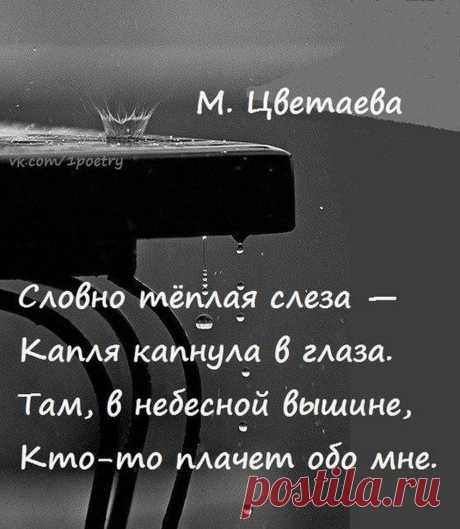 (15) Одноклассники