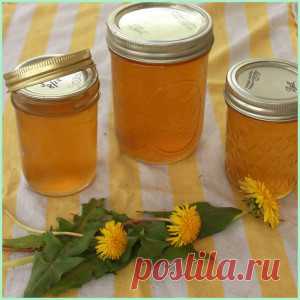 Варенье из одуванчиков, рецепты приготовления - Закатки
