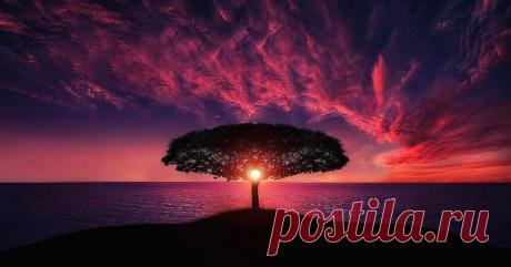 11 советов, которые помогут тебе стать еще сильнее