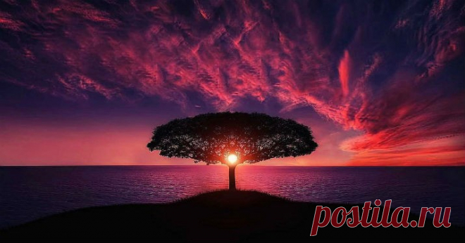 11 советов, которые помогут тебе стать еще сильнее